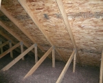 Attic Mold Remediation After