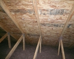 Attic Mold Remediation After