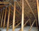 Attic Mold Remediation Before