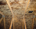Attic Mold Remediation Before