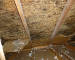 Attic Mold Remediation During