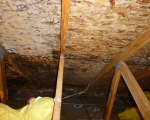 Attic Mold Remediation During