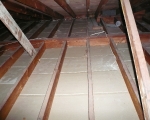 Attic Mold Remediation