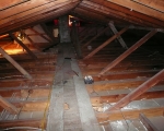 Attic Mold Remediation