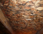 Attic Mold Remediation