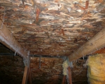 Attic Mold Remediation