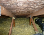 Attic Mold Remediation