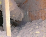 Attic Mold Remediation