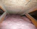 Attic Mold Remediation