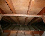 Attic Mold Remediation