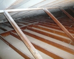 Attic Mold Remediation