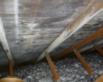 Attic Mold Remediation