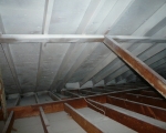 Attic Mold Remediation