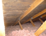 Attic Mold Remediation