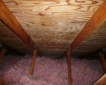 Attic Mold Remediation