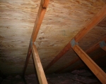 Attic Mold Remediation