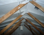 Attic Mold Remediation