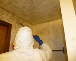 Bathroom Mold Remediation