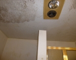 Bathroom Mold Remediation