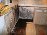 Interior Water and Mold Remediation